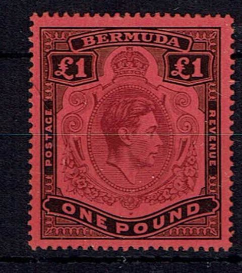 Image of Bermuda 121 UMM